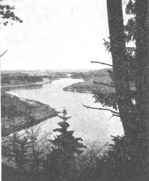 Neries vingiai Neries vingiai