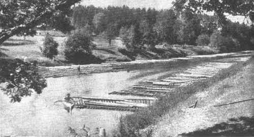 Šventosios sieliai (118,6 km) Šventosios sieliai (118,6 km)