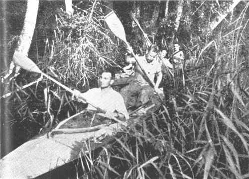 Šventosios džunglės (232,0 km) Šventosios džunglės (232,0 km)