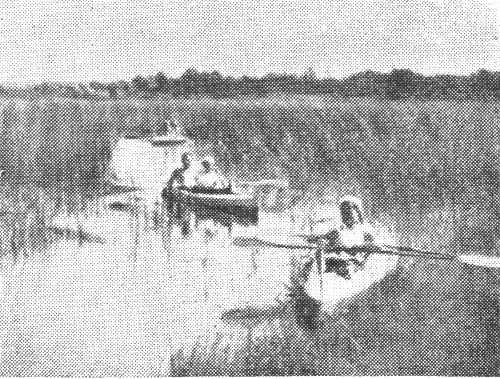 Baidarės atranda naujus vandens kelius