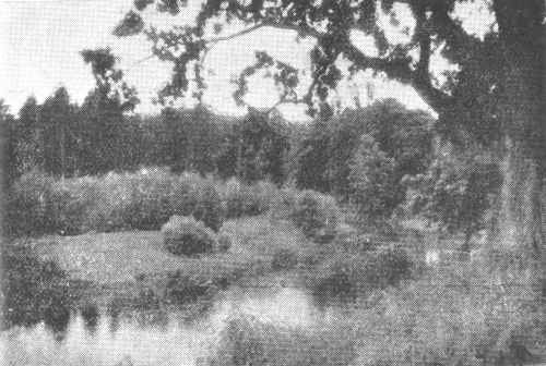 Šešupė Buktos miške (243,0 km) Šešupė Buktos miške (243,0 km)