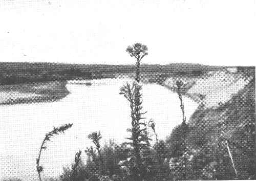 Tai mūsų tėvynė, graži Lietuva... Tai mūsų tėvynė, graži Lietuva...