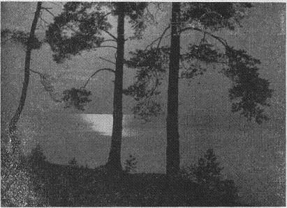 Narutis - Lietuvos jūra