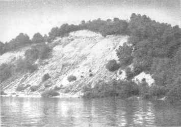 Plikakalnis - gamtos paminklas Plikakalnis - gamtos paminklas