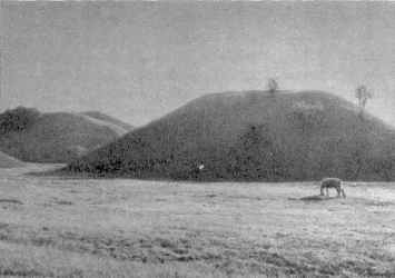 Kernavės piliakalniai nuo upės Kernavės piliakalniai nuo upės