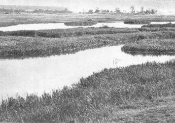 Upė rimsta, tvinsta - čia Vileikos marių patvankos pradžia Upė rimsta, tvinsta - čia Vileikos marių patvankos pradžia