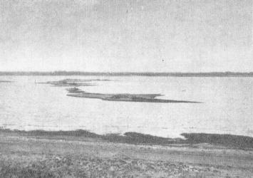 Paskutinis žvilgsnis į marių platybę Paskutinis žvilgsnis į marių platybę