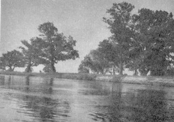 Vėl ramūs paupiai žemiau Vileikos