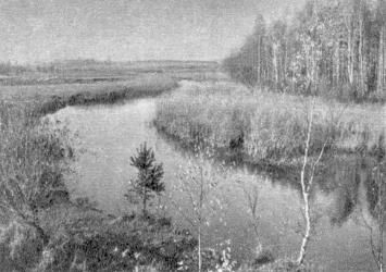 Naručio upė Naručio upė