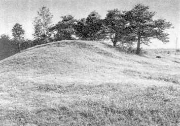 Zamčisko piliakalnis netoli Svirankų Zamčisko piliakalnis netoli Svirankų