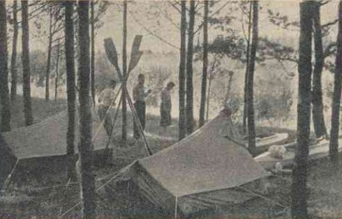 Berčiūnų miškas Nevėžio krante Berčiūnų miškas Nevėžio krante