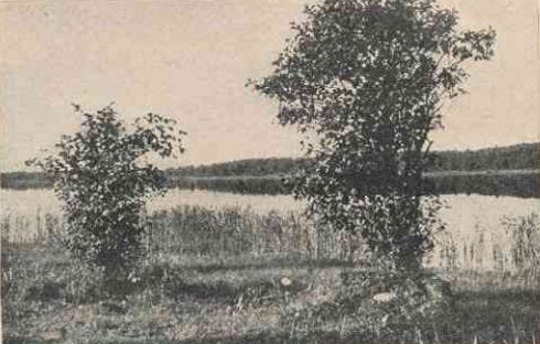 Lėno ežeras (J. Šurnos fot.)