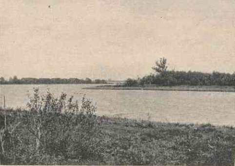 Juodžio (Juodyčiaus) ežeras (J. Šurnos fot.)