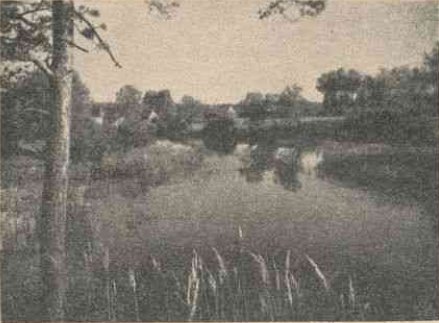 Nevėžis ties Tautkūnais Nevėžis ties Tautkūnais