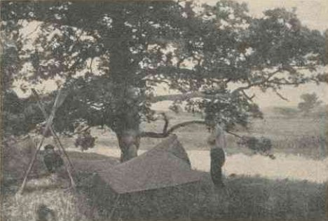 Ąžuolynas ties Krekenava Ąžuolynas ties Krekenava