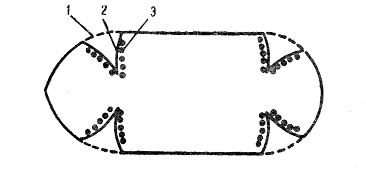 Vandeninio dugno išklotinė Vandeninio dugno išklotinė