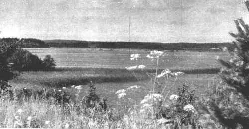 Smalvykščio platybės Smalvykščio platybės