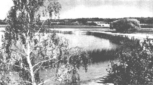 Didžiosios Rubikių ežero salos kampelis