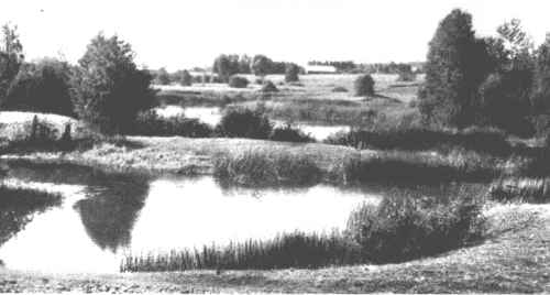 Karstinės kilmės ežerėliai Kirkilų draustinyje Karstinės kilmės ežerėliai Kirkilų draustinyje