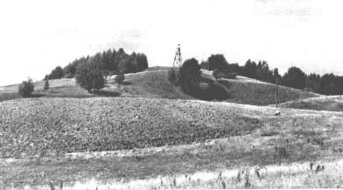 Medvėgalis Medvėgalis