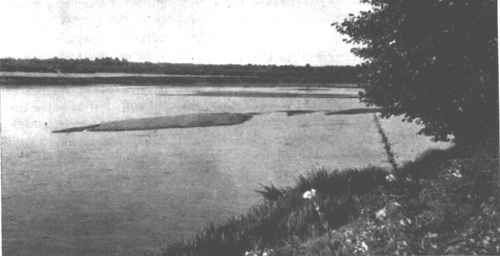 Salos ir seklumos ties Gerdašiais