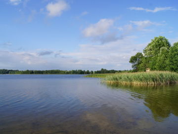Alno ežeras ties Aradninkais (Ogrodniki)