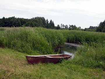 Daugyvenės upė žemiau Pakalniškių