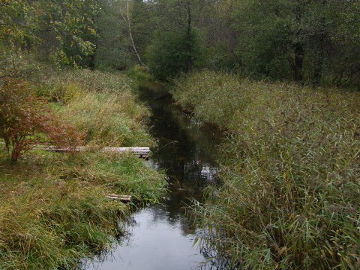 Dubingos upelis ties Kabakėliu