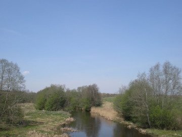 Dysnos upė prie Molinės