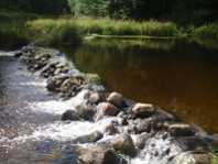 The river Jura. Rapid at 124.9 km