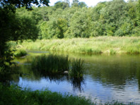 The river Jura at Pajuris village