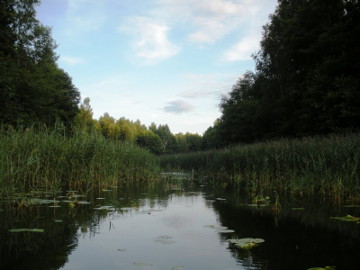 Ežero Aisetas upelis Aiseta