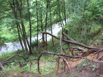 Linkavos upės skardis prie Varnakalnio