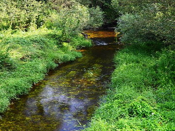 Linkava ties Rabikias