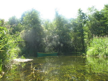 Srovės upė