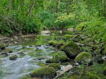 Upė Mišupė vasarą.