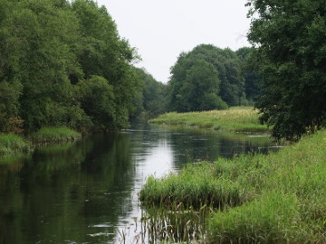 Nemunelis prie Baryškių