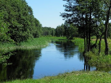 Nemunėlis prie Ruskiškių