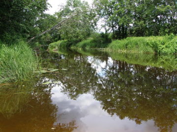 Nemunelis ties Virškupėnais