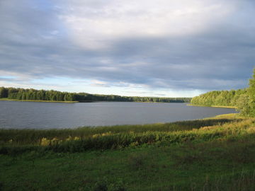 Ežeras Niedus
