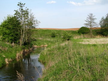 Upper section of the river Perseke