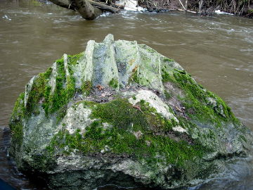Akmuo Plaštakos upėje