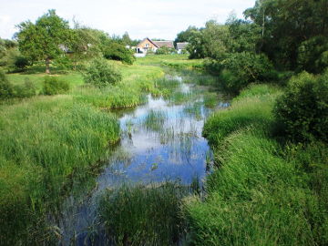 Pyvesos upė vasarą prie Papyvesių