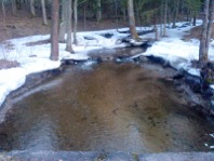 Saidė.Žemupys.Foto:Liudas Basiulis