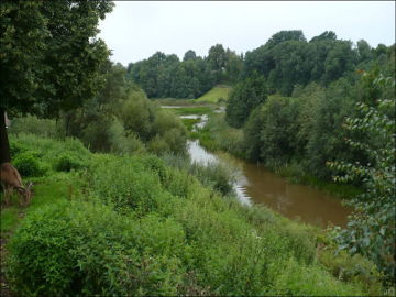 Upė Salantas aukščiau Salantų