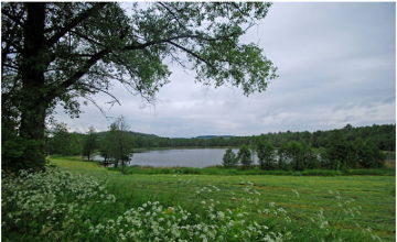 Kreivelio ežeras prie Sidorių