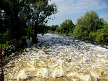 Šešupė prie Pilviškių užtvankos