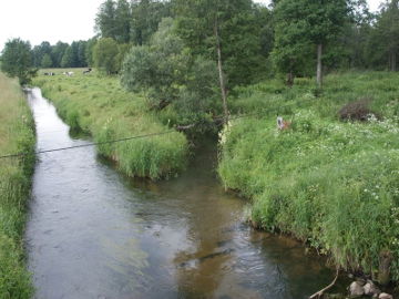 Šešupės ir Vygros santaka