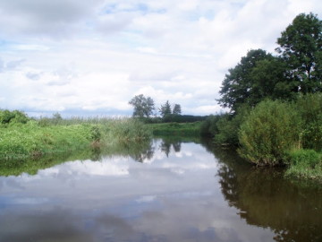 Šešupė prie Pilviškių.Foto:Audrius Bernotaitis