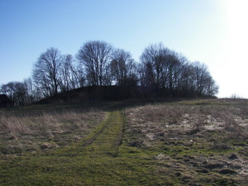 Žardės piliakalnis